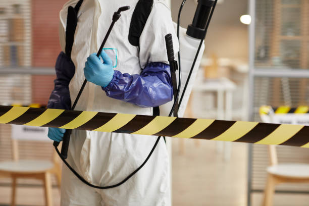 Professional Sewage Cleanup technician working in Gladstone, NJ