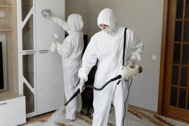24/7 Emergency Sewage Cleanup experts in Gladstone, NJ